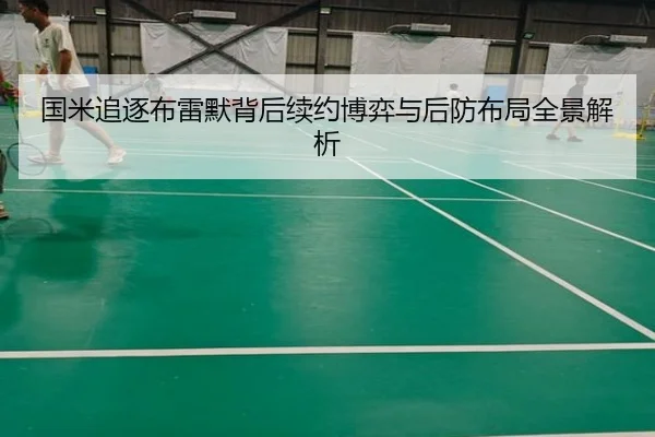 国米追逐布雷默背后续约博弈与后防布局全景解析