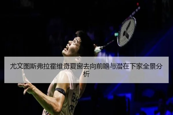 尤文图斯弗拉霍维奇夏窗去向前瞻与潜在下家全景分析