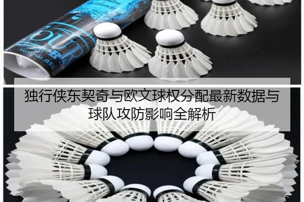 独行侠东契奇与欧文球权分配最新数据与球队攻防影响全解析
